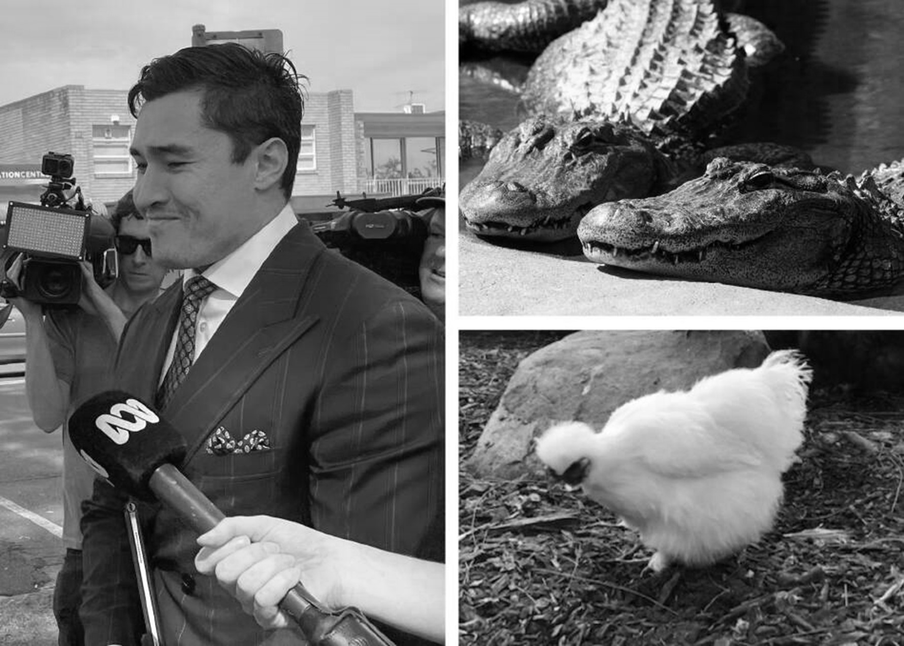 ‘Like KFC preparation’: Man accused of throwing hen to alligator denies charge